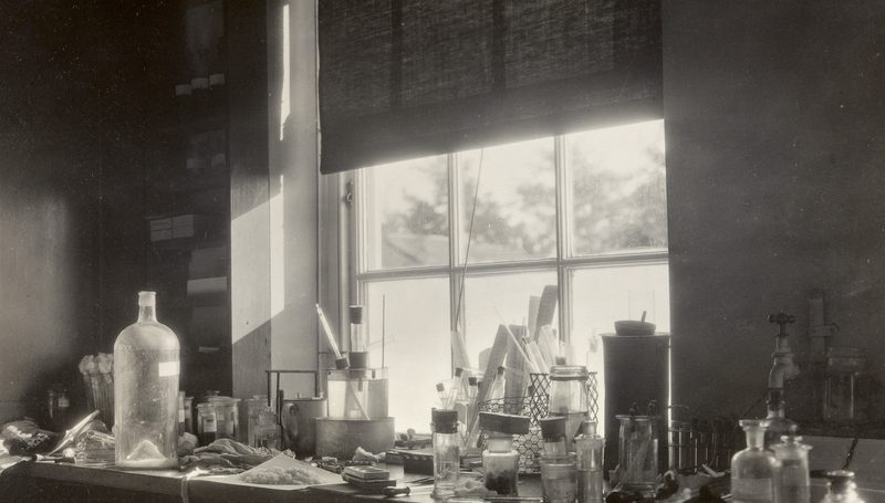 Laboratory bench with glass bottles, jars and instruments in front of a sunlit window.