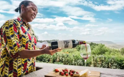 Emerging Wine Regions: Investing in Africa’s Next Investment Frontier